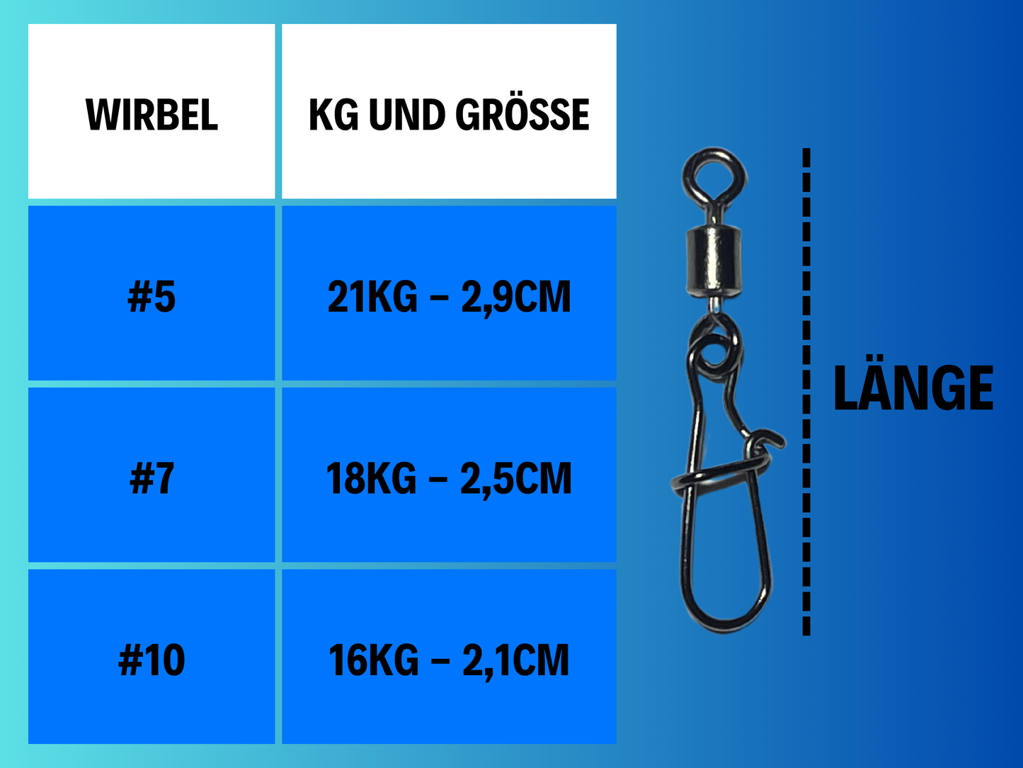 Wirbel #5 - #10