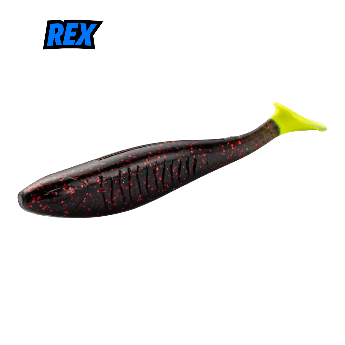 Rex 10cm - 14cm
